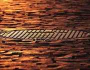 麻豆app——盈利路径数据洞察案例复盘