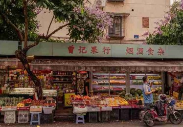 鉴黄师电脑版——盈利路径技术解密快报