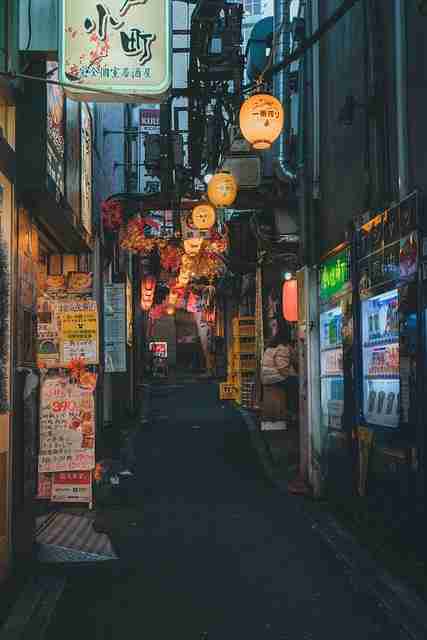 P站热门盘点·内容生态独门心法